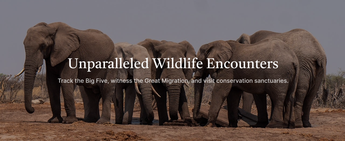 Unparalleled Wildlife Encounters